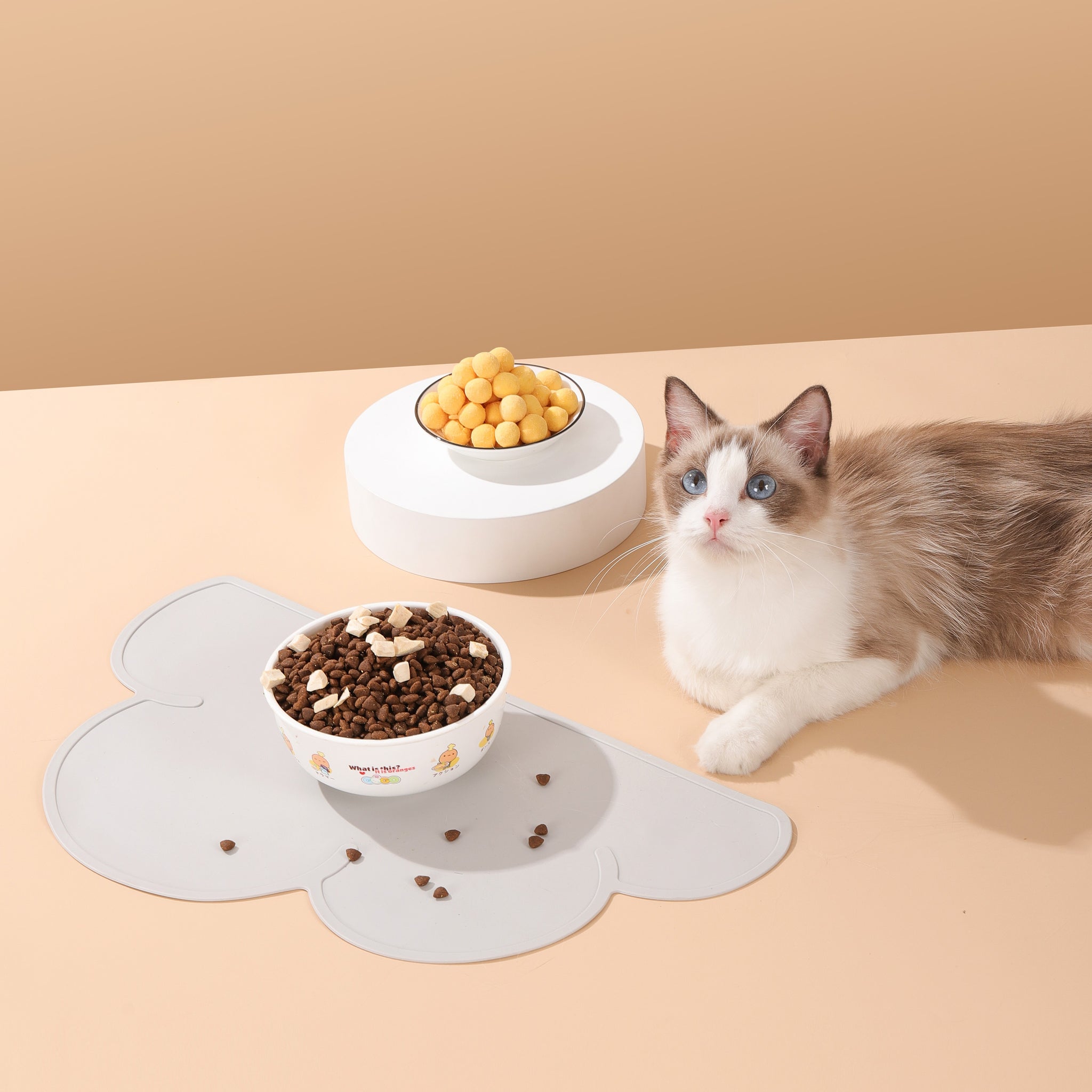 Cat & Dog Food Mat, Sillicone Waterproof Pet Bowl Placement Tray to Stop  Food Spills and Water Messes Out to Floor