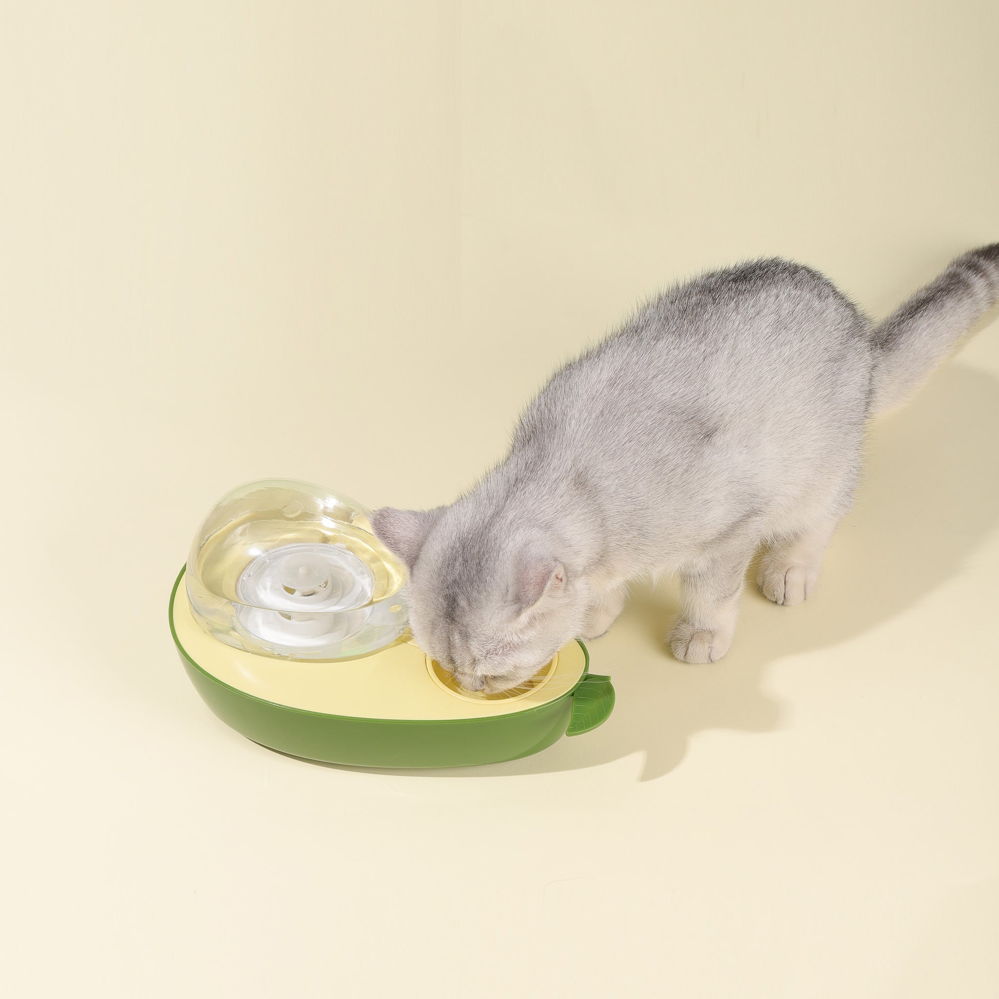 Cat Bowl And Dispenser