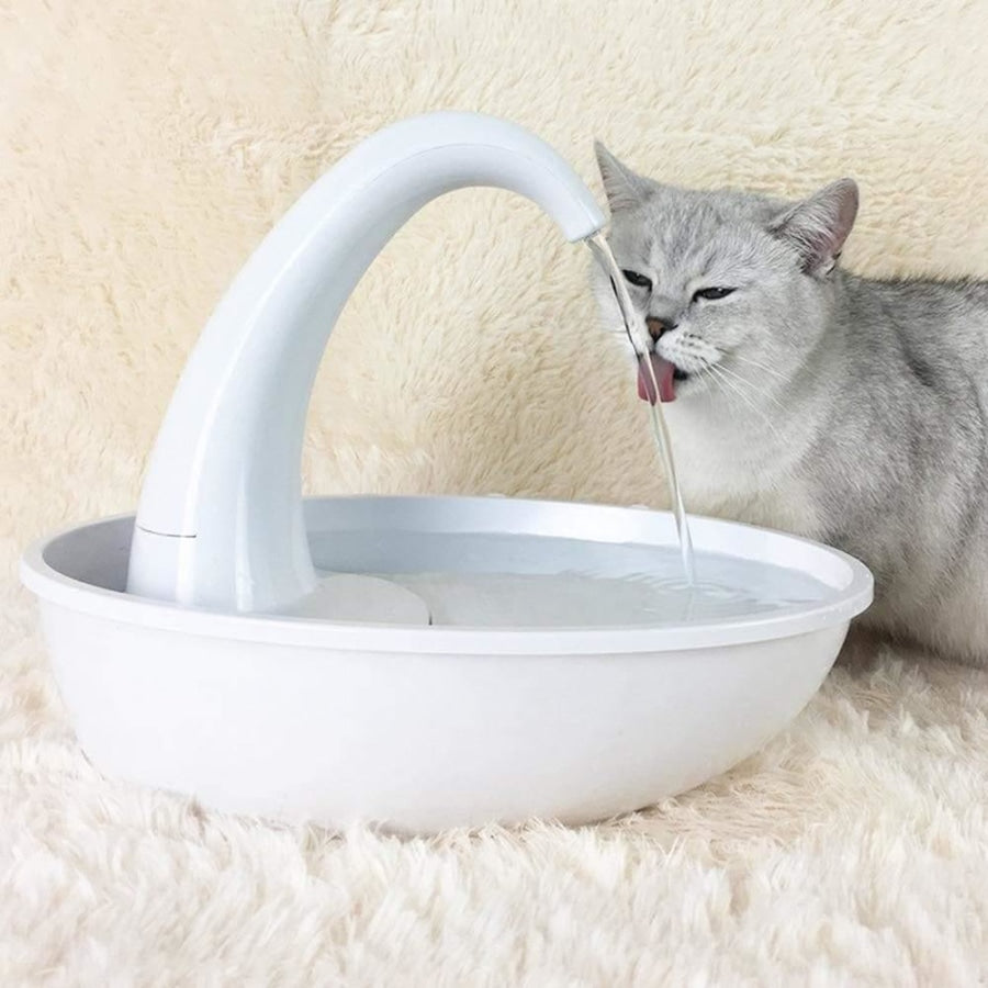 Cat Water Dispenser 