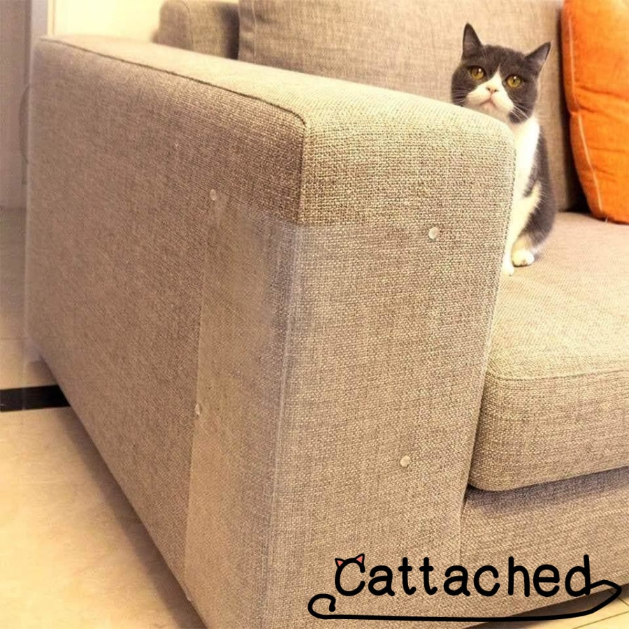 Cat Scratch Protectors 