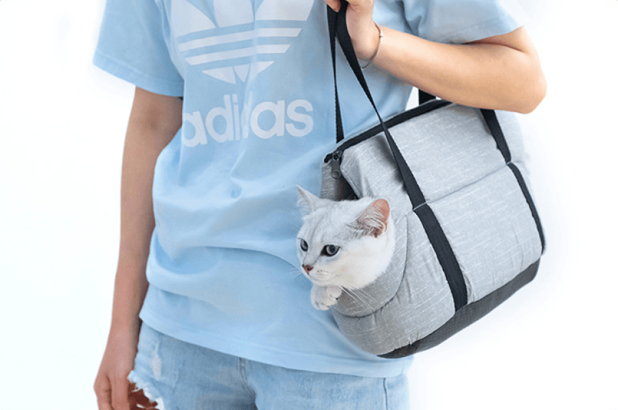 Cat Carrier Bag 