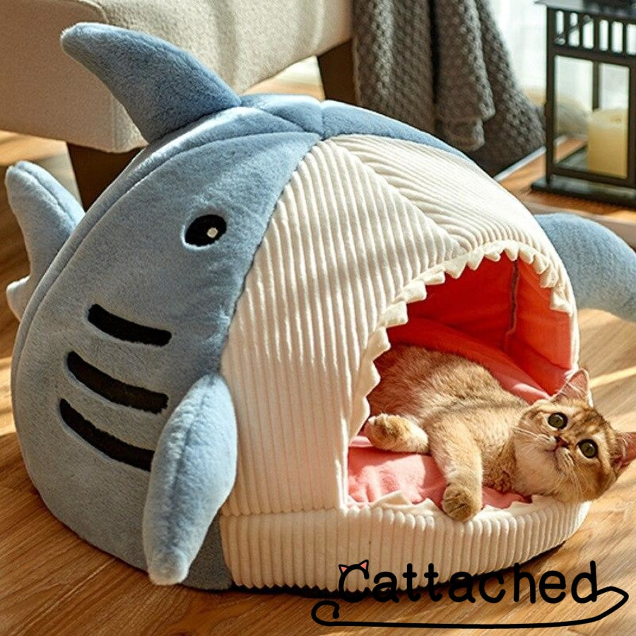 Cat Shark Bed 