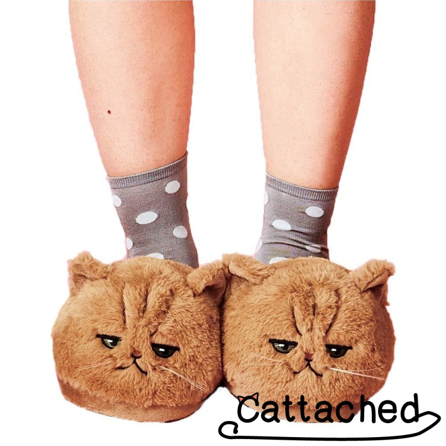 Cute Cozy Cat Slippers for Adults - Cat Caboodle