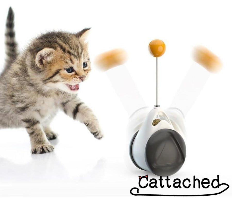 Feather Boxer Cat Toy - Catnip Imbued!