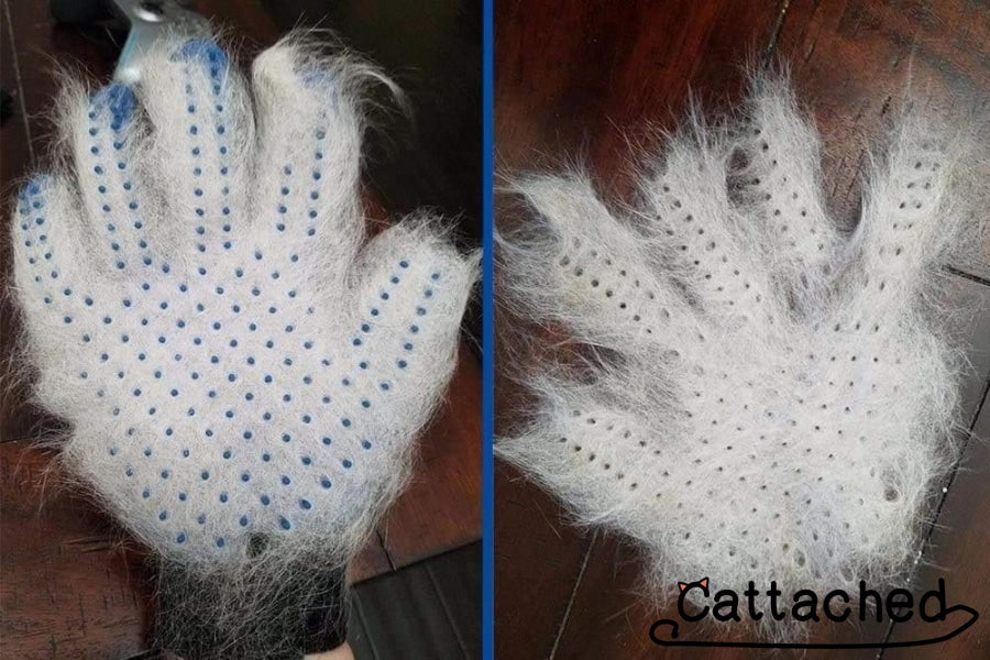 Grooming Glove For Cats - Deshedding Grooming Tool - Cat Caboodle