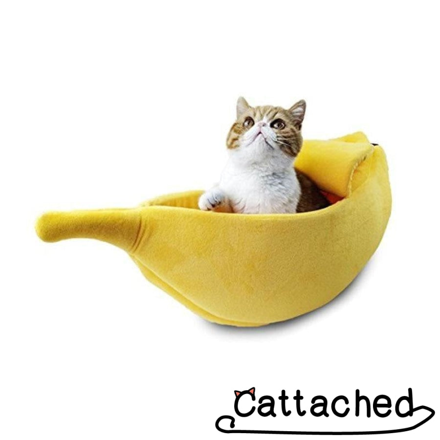 KittyPeel™ - Cat Banana Bungalow - Cat Caboodle
