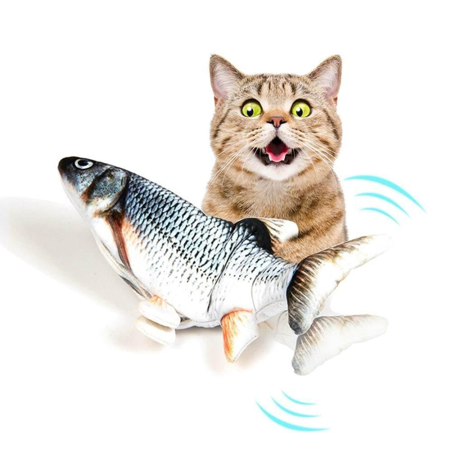 Moving Fish Cat Toy Chub