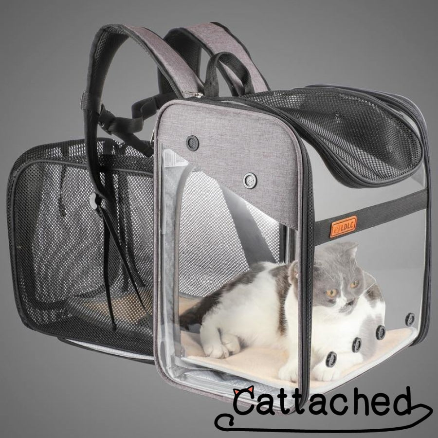Transparent Cat Backpack