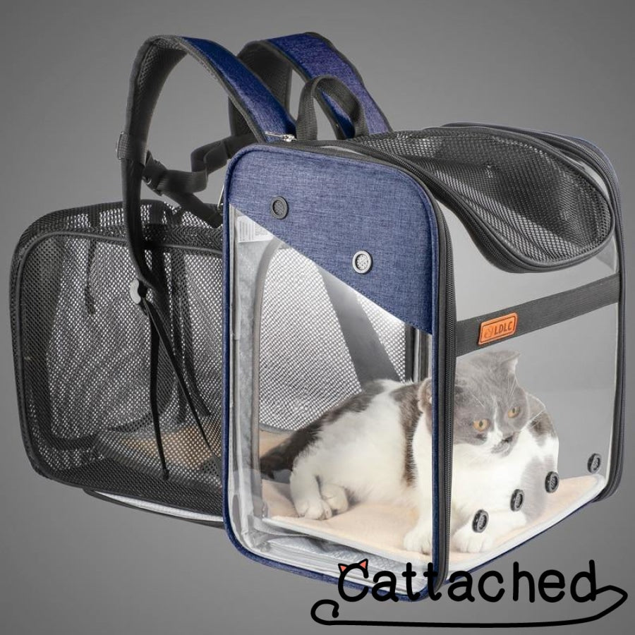 Transparent Cat Backpack