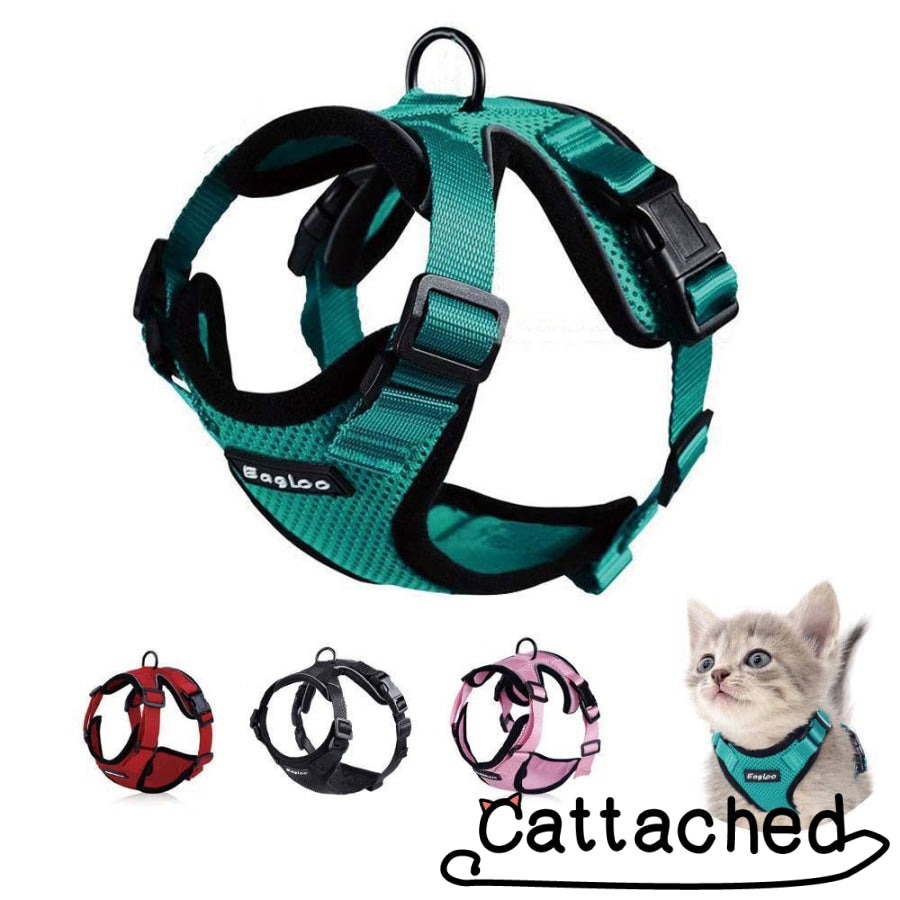 Ultimate Cat Harness & Leash Set - Escape Proof! - Cat Caboodle