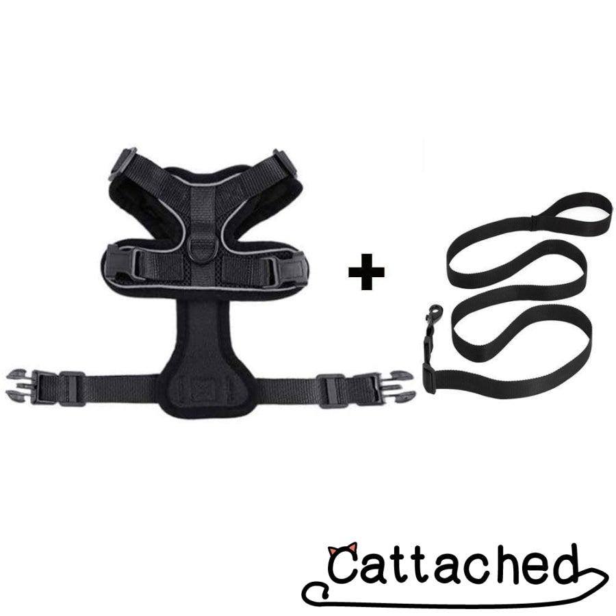 Ultimate Cat Harness & Leash Set - Escape Proof! - Cat Caboodle