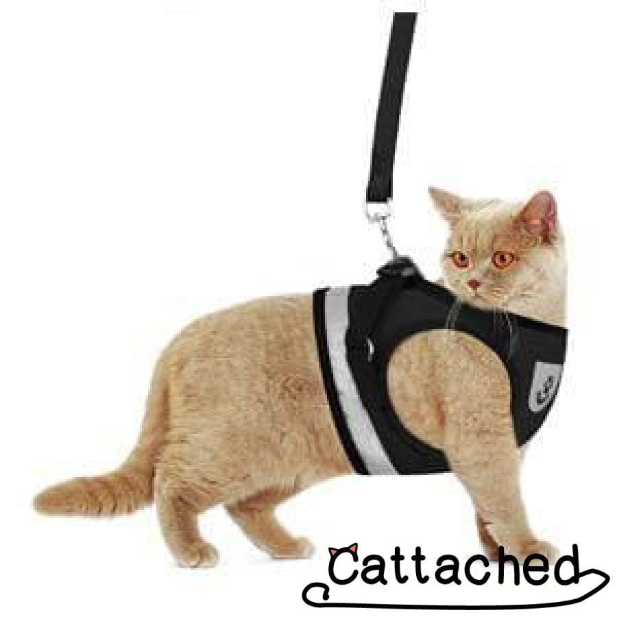 Universal No Escape Cat Harness & Leash - Cat Caboodle